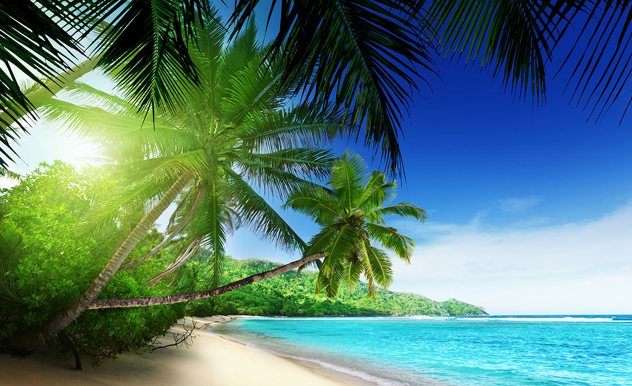 Detalles más de 78 fondo pantalla playas paradisiacas muy caliente ...