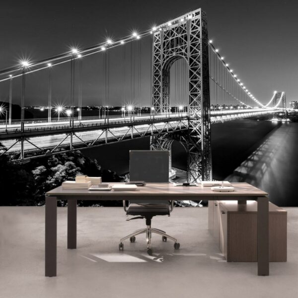 Fotomural Puente Manhattan 1442 VE