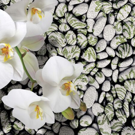 Fotomural Orquídeas Blanca 1651 VE