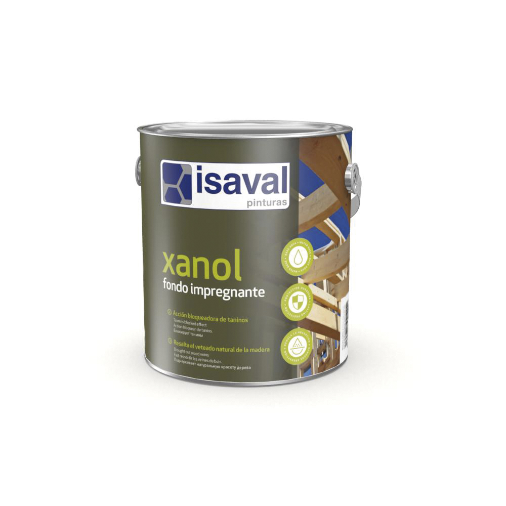 Qué productos emplear para quitar la pintura? • Isaval