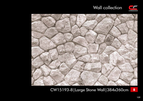 cw15193-8 rocas