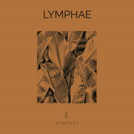 Lymphae